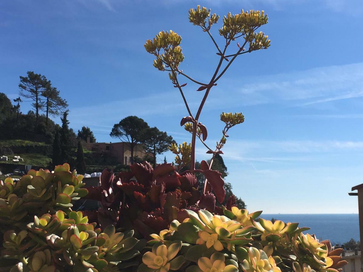 Cinqueterreblu Bougainvilleap Μοντερόσο αλ Μάρε Εξωτερικό φωτογραφία